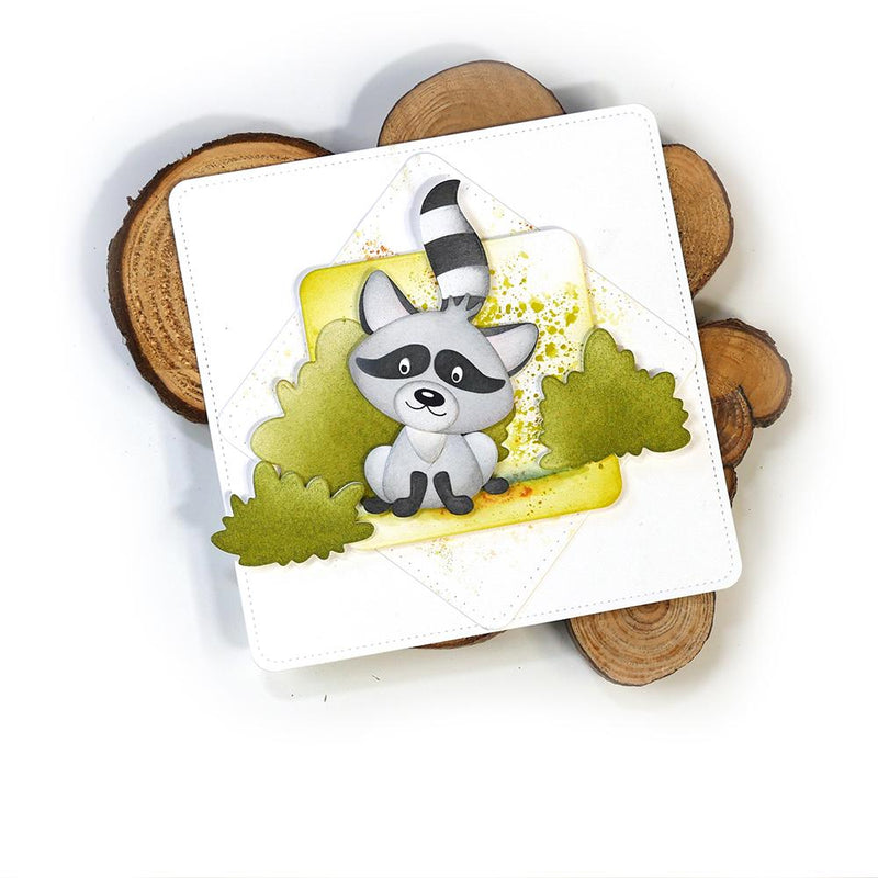 Raccoon