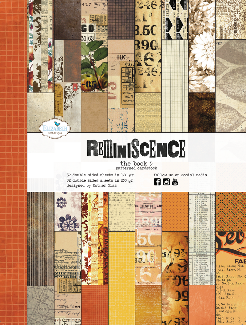 Reminiscence The Book 5